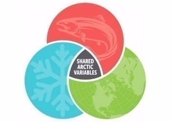 The development of Shared Arctic Variables in Arctic PASSION