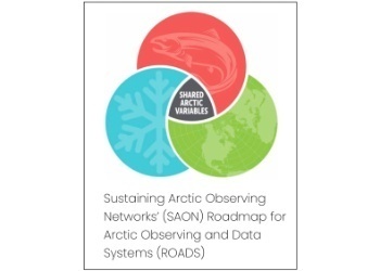 saon-roads-report-image_1_nTM73hg_bPpZxpc