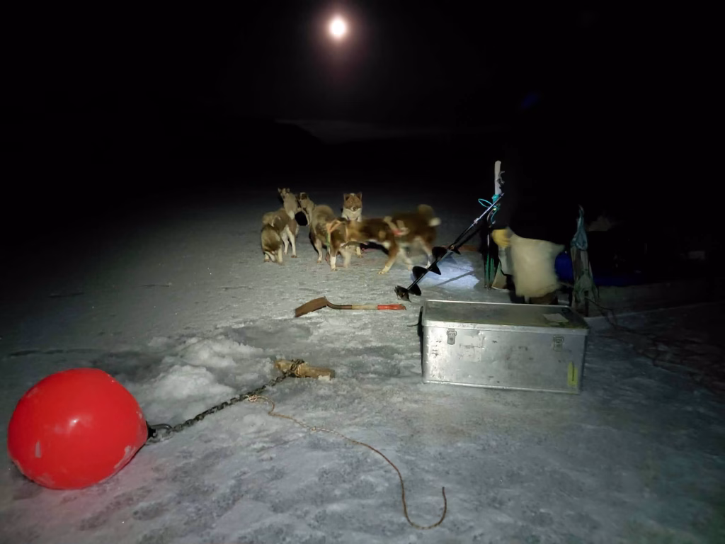The Last Arctic Passion Field Trip