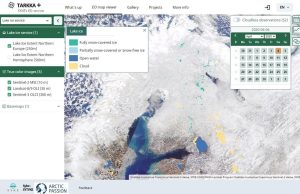 The Lake Ice Service