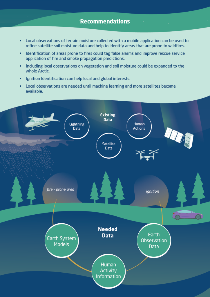 This is one of the wildlife fascets