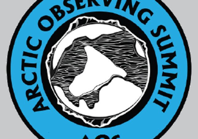Arctic PASSION partners involved in the Arctic Observing Summit